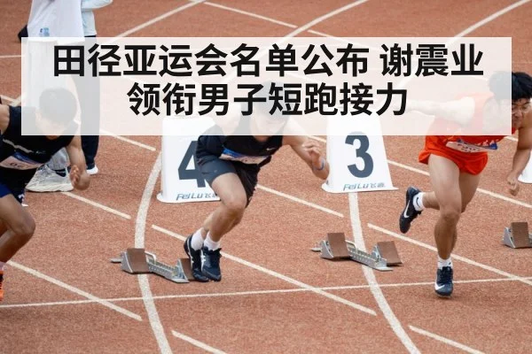 田径亚运会名单公布 谢震业领衔男子短跑接力