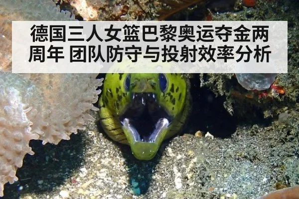 德国三人女篮巴黎奥运夺金两周年 团队防守与投射效率分析
